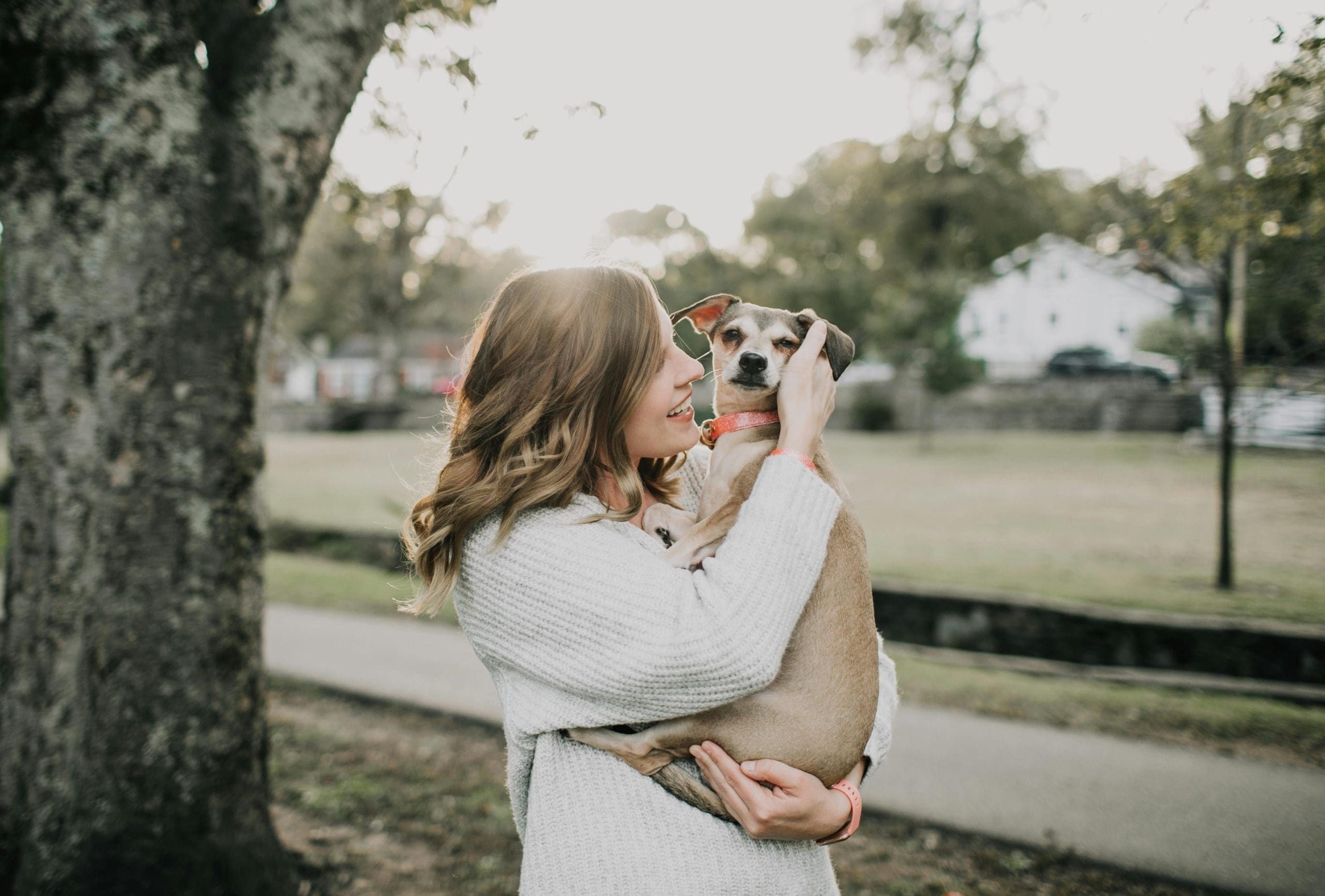 Featured image for “Emotional Support Animals in Texas: Your Guide to Comfort, Rights, and Certification”