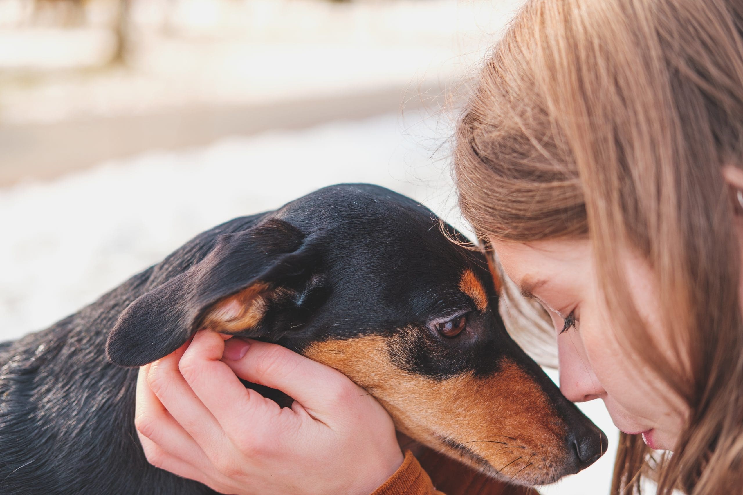 Emotional Support Animal Letter